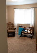 Sitting room featuring carpet