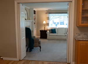 Living area with crown molding, baseboards, light wood-style flooring, and a fireplace