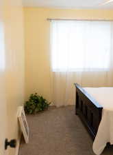 Carpeted bedroom featuring multiple windows