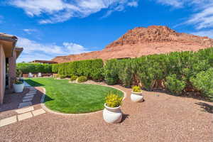 View of yard featuring a mountain view and a fenced backyard