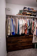 Walk in closet with carpet flooring