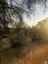 View of nature