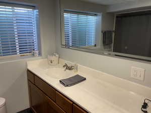 Full bath featuring vanity, plenty of natural light, toilet, and curtained shower