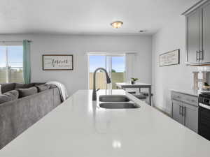 Large island with undermount stainless steel sink, gas range and sleek black stainless steel appliances.