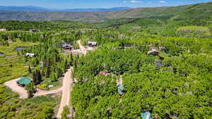 Drone / aerial view of a heavily wooded area and a mountainous background