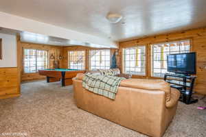 Carpeted living room with wooden walls, pool table, and a healthy amount of sunlight