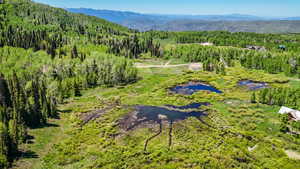 Drone / aerial view of a heavily wooded area and mountains