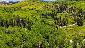 View of mountain backdrop featuring a forest