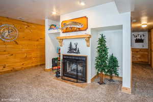 Living room with wooden walls, a multi sided fireplace, baseboards, and carpet