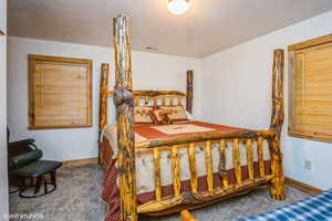 Bedroom with visible vents, carpet flooring, and baseboards