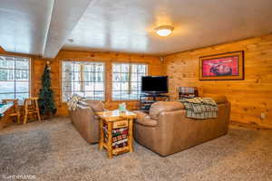 Living area with carpet floors, wooden walls, and plenty of natural light