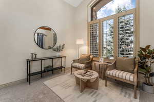 Sitting room featuring baseboards, carpet, and a wealth of natural light