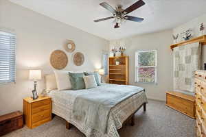 Carpeted bedroom with ceiling fan and multiple windows