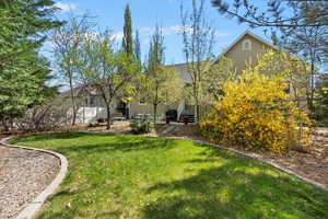 View of back yard