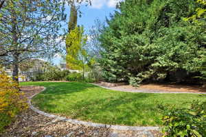 View of back yard