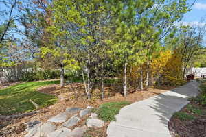 .36 acre lot, mostly xeriscaped.