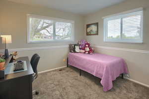 Bedroom with baseboards, multiple windows, carpet, and lots light