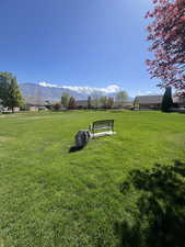 Large Grassy Greenbelt with benches to sit and enjoy the beautiful mountain views