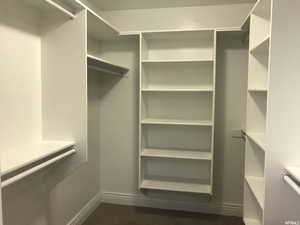 Primary bedroom/bath walk in closet