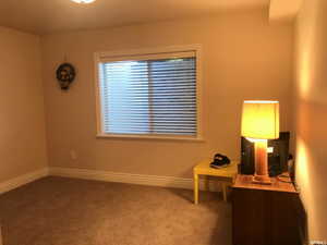 Guest Bedroom in fully finished basement