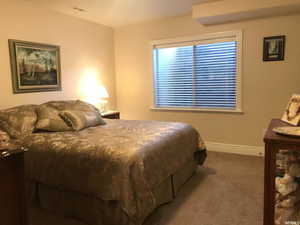 Guest Bedroom in fully finished basement