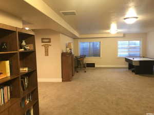 Family Room in fully finished basement