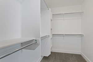 Spacious closet featuring dark colored carpet