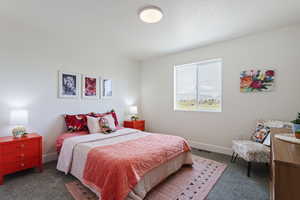 Bedroom with carpet flooring, baseboards, and visible vents