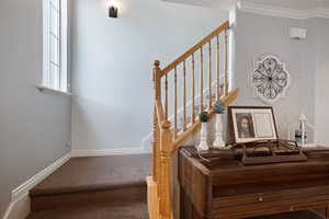 Stairway with baseboards, carpet, and crown molding