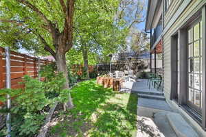 Backyard and patio