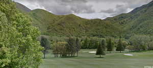 View of property's community with a lawn and a mountain view