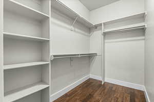 Walk in closet featuring dark wood-style flooring