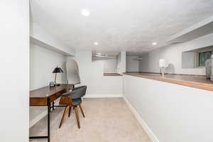 Basement Bedroom with built in reading nook on shelf foundation.