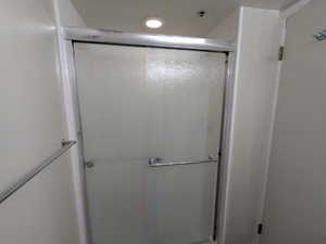 MASTER  BEDROOM SHOWER