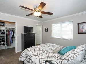 Bedroom featuring a closet, ornamental molding, ceiling fan, a spacious closet, and carpet flooring
