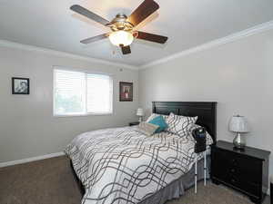 Bedroom with carpet floors, crown molding, ceiling fan, and baseboards