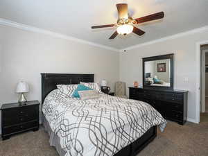 Bedroom with baseboards, ornamental molding, carpet flooring, and ceiling fan