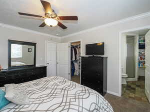 Bedroom featuring a closet, ornamental molding, baseboards, a walk in closet, and carpet flooring
