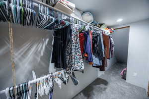 Walk in closet with carpet floors