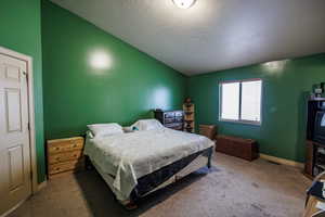 Bedroom with baseboards, a textured ceiling, carpet, and vaulted ceiling