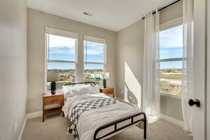 Bedroom featuring baseboards, multiple windows, and light colored carpet