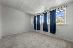 Spare room featuring a textured ceiling, a healthy amount of sunlight, and carpet