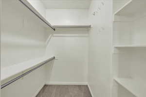 Walk in closet featuring carpet