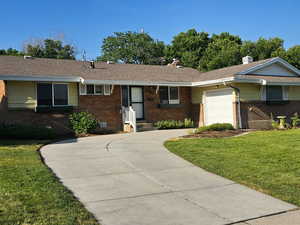 Driveway to the garage