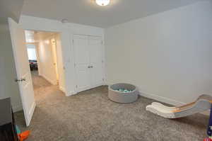 Interior space with baseboards, carpet, and a closet
