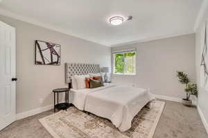 Bedroom with carpet floors, ornamental molding, and baseboards