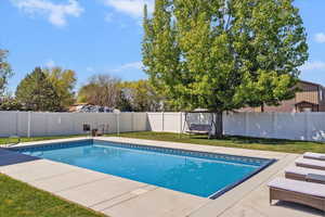 New beautiful, heated, swimming pool