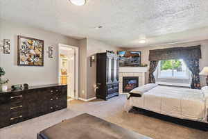 Master bedroom with fireplace and large window