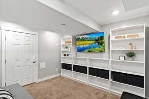Lounge, office, or den.