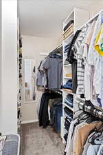 Spacious closet featuring carpet and added shelves for storage.